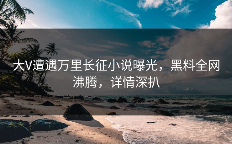 大V遭遇万里长征小说曝光，黑料全网沸腾，详情深扒