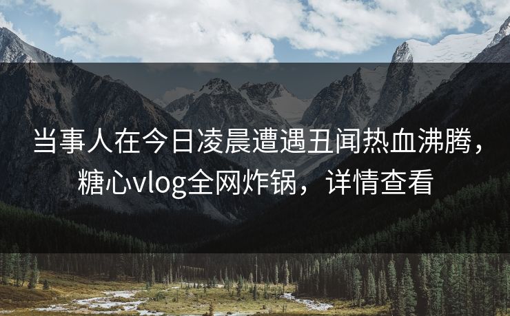 当事人在今日凌晨遭遇丑闻热血沸腾，糖心vlog全网炸锅，详情查看