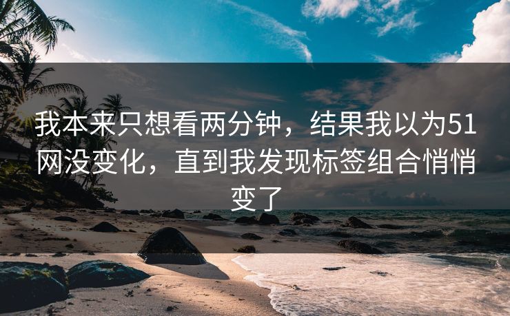 我本来只想看两分钟，结果我以为51网没变化，直到我发现标签组合悄悄变了